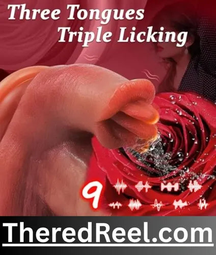 adult sex toys for couple in pakistan