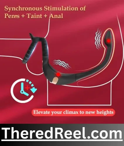 adult sex toys in for women