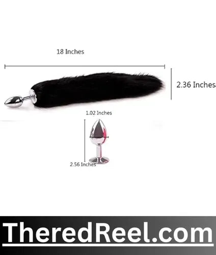 buy anal plug in pakistan