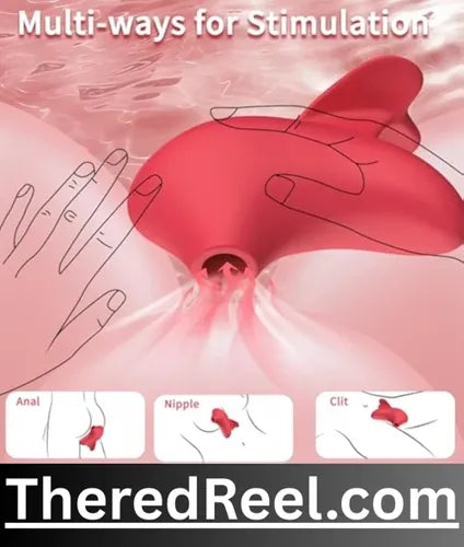 female vibrators in rawalpindi