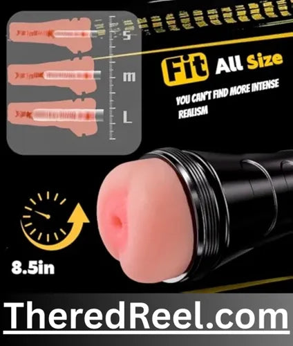 male and female adult sex toys