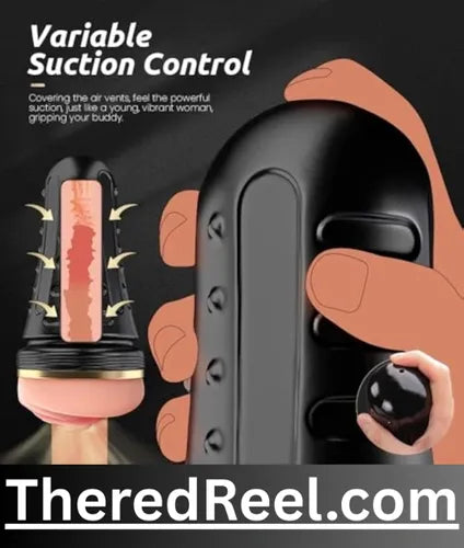 male and female sex toys