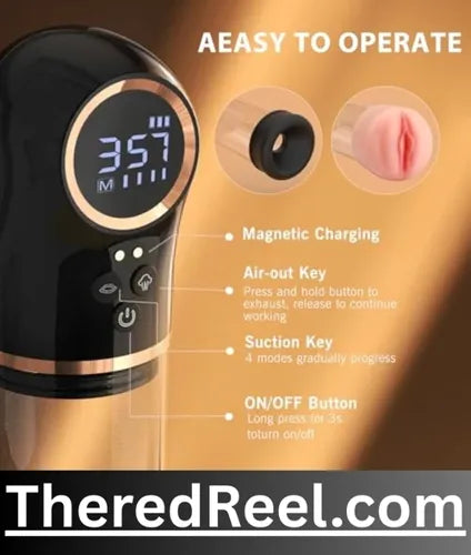 male and female sex toys