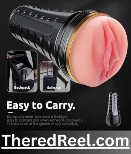 male and female sex toys