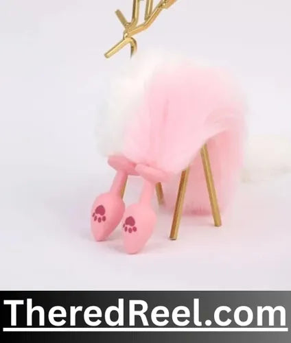 online anal plug sex toy