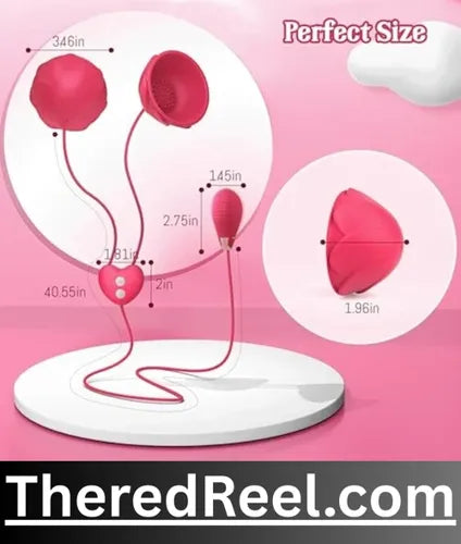 order adult sex toys