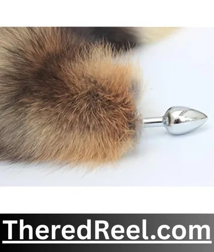 order butt plug in pakistan