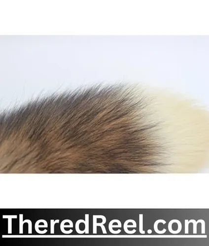 order butt plug in pakistan