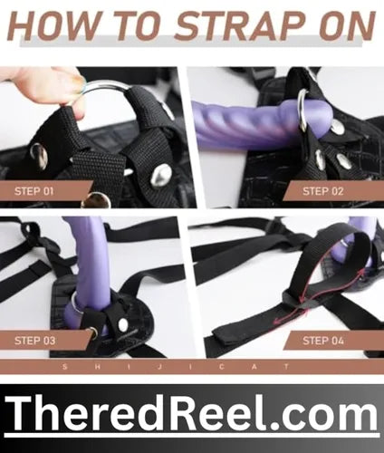 order dildo with belt