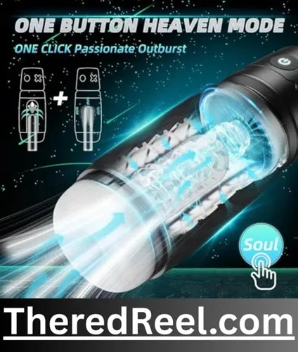 pocket pussy sex toy in pakistan