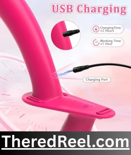 sex toy strap-on dildo in pakistan