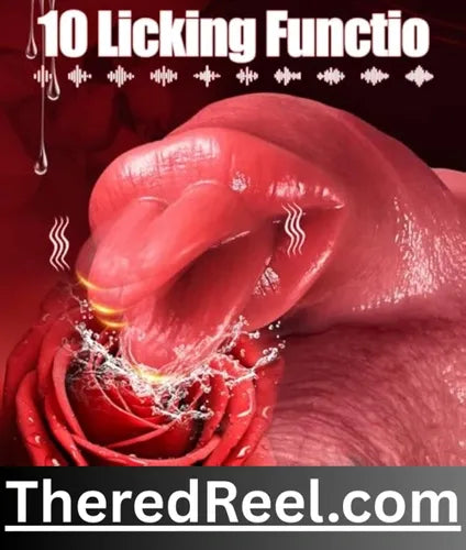 top adult sex toys in pakistan